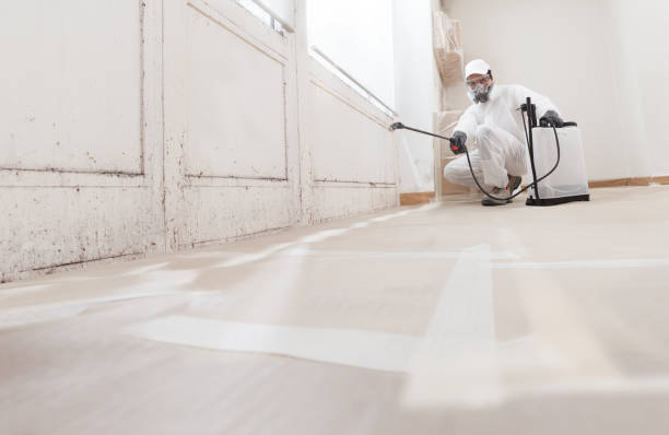 24/7 Emergency Mold Remediation experts in Graham, TX